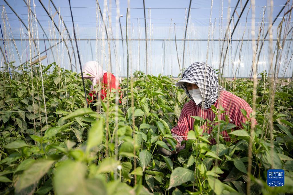 乐玩游戏下载官网