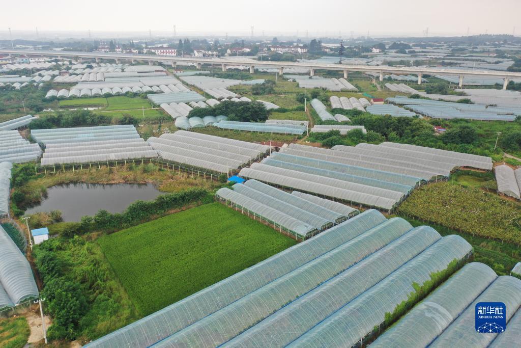 澳门银娱优越会网址
